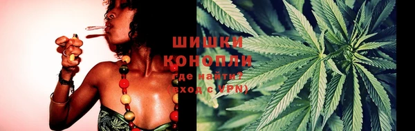 PSILOCYBIN Алексеевка