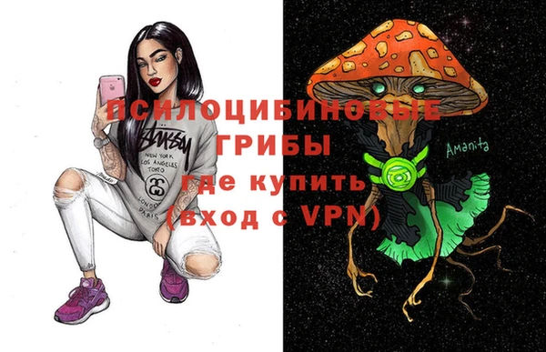 PSILOCYBIN Алексеевка