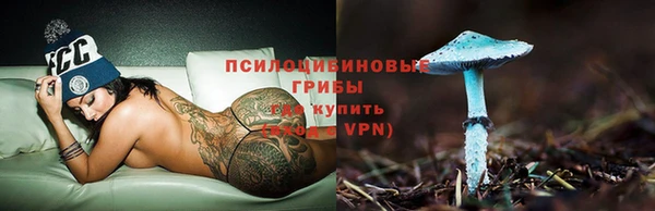 бошки Алексин