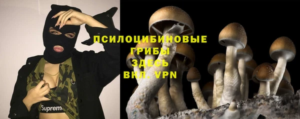 бошки Алексин