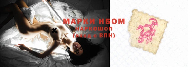 бошки Алексин