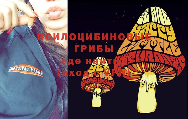 PSILOCYBIN Алексеевка