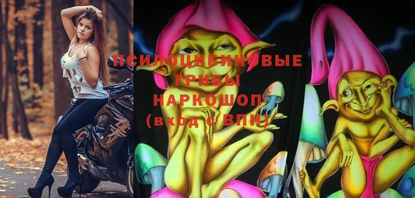 PSILOCYBIN Алексеевка