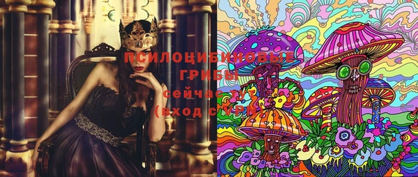 PSILOCYBIN Алексеевка