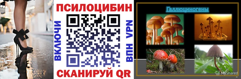 где купить наркоту  Нижнеудинск  Галлюциногенные грибы ЛСД 