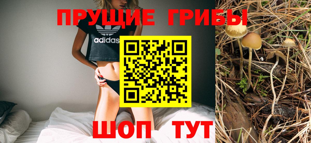 даркнет сайт  Вход с VPN  Нижнеудинск  Псилоцибиновые грибы Psilocybine cubensis 