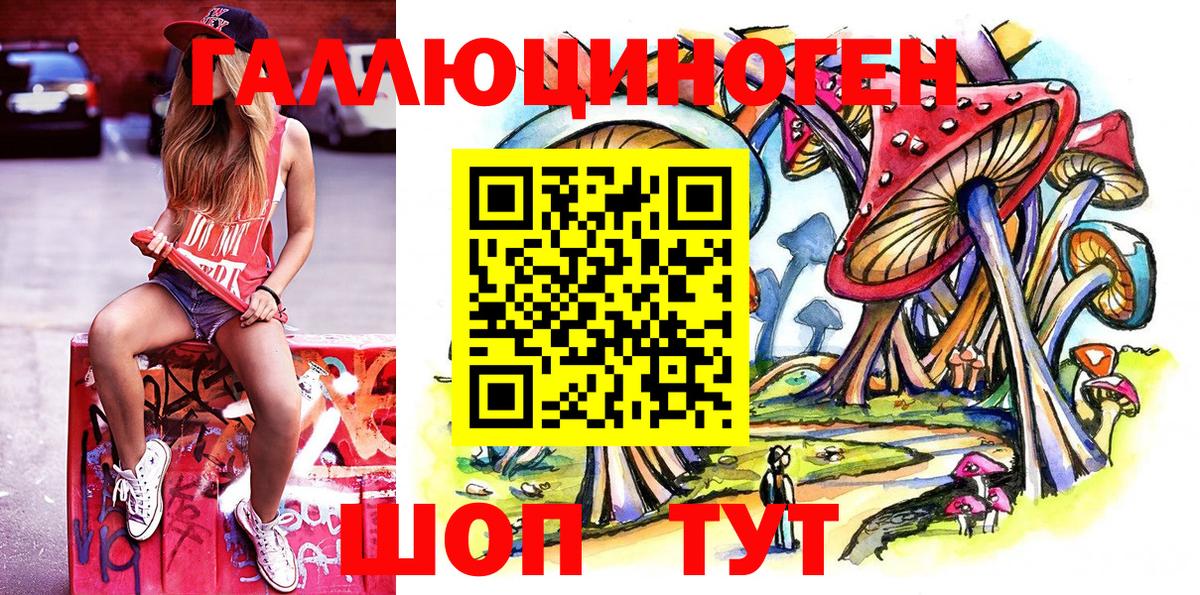 Псилоцибиновые грибы Psilocybe Нижнеудинск